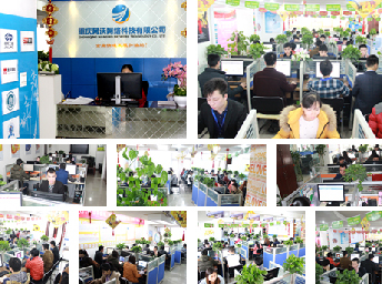 重慶市網站建設、網絡推廣與軟件開發 一站式技術服務全解析